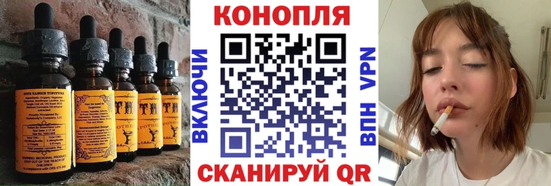 mega как войти  Вяземский  Печенье с ТГК конопля  как найти закладки 