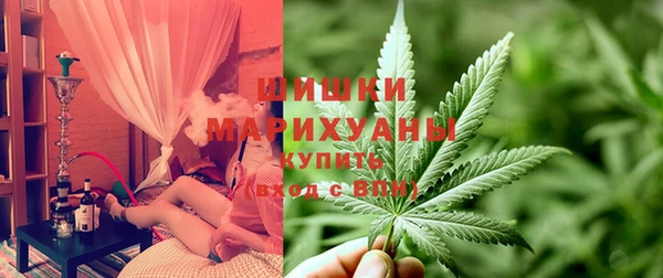 прущая мука Богданович
