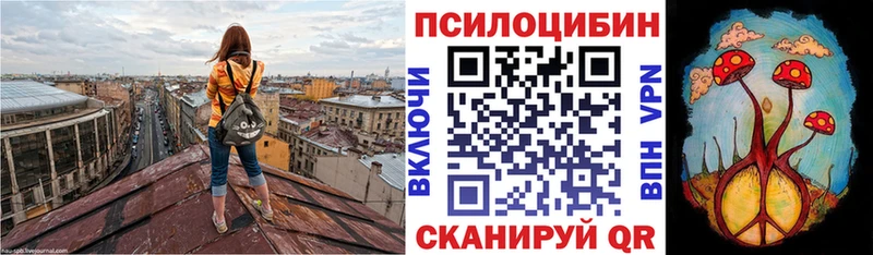 Псилоцибиновые грибы мухоморы Вяземский